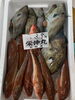 ホウボウ他「本日鮮魚入荷してます」