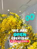 「本日も11時OPEN！」