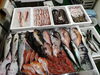 令和8年3月30日 店内「📣本日のお魚情報🐟」