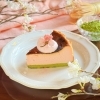 【さくらフェアのお知らせ】