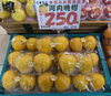 本日のお買得品「🍊春にぴったり！爽やか河内晩柑✨」