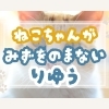 「うちの子、あまり水を飲まない…」は猫の宿命？猫に多い腎臓病につながるその理由