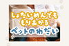 「年齢も性別もバラバラなオーナー様たちと「一瞬で距離が縮まる」共通の話題【江戸川区・西葛西のペットシッター】」