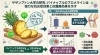 「パイナップル由来酵素ブロメラインの「抗炎症・抗腫瘍」研究について」