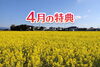 「4月の特典」