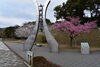 「桜の開花情報」