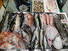 令和8年3月31日 店内「📣本日のお魚情報🐟」