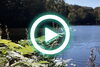 「【ショート動画公開情報㉘】鯉が窪湿原」