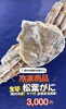 🦀大きめサイズもございます✨「＼船内冷凍🦀生姿タグ付松葉蟹、あります／」