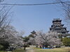 「春の公園でお花見＆外あそびを楽しもう！」