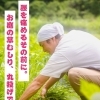 腰を痛める前に！草むしりをお手伝いします