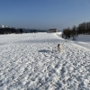 雪解け