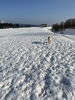 しみたりで散歩「雪解け」