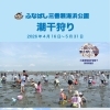 ふなばし三番瀬海浜公園で潮干狩りシーズン到来！