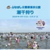 ふなばし三番瀬海浜公園で潮干狩りシーズン到来！