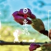 April 2026 / 2026年 4月 卯月