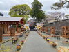 「神社参拝で心身リフレッシュしてきました」