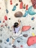 「🧗三者の認識を揃えるとは？🌱【2歳～未就学児のボルダリング知育教室のぼちー】★葛西」