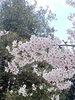 「新年度、「新しい自分」へ一歩ふみだしてみませんか？」