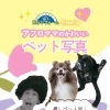 🐾💕 KGリフォームプレゼンツ　アフロママのかわいいペット写真