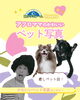 アフロママのかわいいペット写真「🐾💕 KGリフォームプレゼンツ　アフロママのかわいいペット写真」