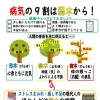 黒沢薬局　本店4月「病気の9割は弱木から！」
