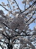 「4月ですね🌸」