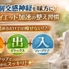 副交感神経を味方に✨ダイエットを加速させるリラックス習慣  