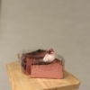 期間限定・桜のバスクチーズケーキのご案内