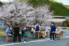 花見をしました。お茶と団子でなくお饅頭。少し肌寒い日でしたがご利用者様、スタッフともに笑顔でした。「花見第一陣」