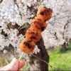 春のお楽しみ、すぐそこに🌸御菓子処美松より