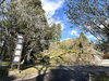 「樹齢450年、地域に愛された玉澤妙法華寺の「タマザワオオヤマザクラ」が倒木」
