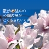 4月になりました