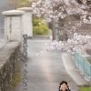 桜🌸ロケーション撮影、絶賛撮影中‼️