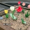 みんなで植えたチューリップ🌷咲きました
