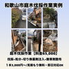 庭木伐採作業実例作業内容料金は表示ビフォーアフター「【和歌山市｜庭木伐採・生垣撤去】」