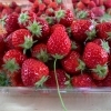 完熟いちご、不揃いいちご、小粒いちごが大パックでお買い得！！