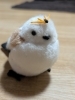 当店のマスコット（シマエナガ）ビーちゃんです「金曜日も淋しくないよう皆様の寄り道を宜しくお願い致します(⁠◕⁠ᴗ⁠◕⁠✿⁠)」