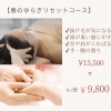 4月限定メニューのお知らせ