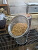 アツアツの茹で大豆「味噌󠄀作り」
