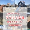 お待たせしました！ちびっこ広場で遊べるようになりました♪
