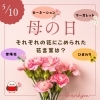 【母の日特集】それぞれの花に込められた花言葉をご紹介します