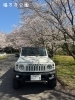 「今が満開です🌸　福万寺公園　四国中央市土居町上野　スズキ自販愛媛」