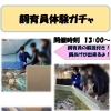 【週末イベント情報】桜咲く春休みの週末は天気も気にせず楽しめる水族館へ！ 