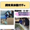 【週末イベント情報】桜咲く春休みの週末は天気も気にせず楽しめる水族館へ！ 