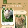 グリーンテイルカフェのドッグランをご紹介！