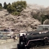 明日開催です。癒されフェスタ(和歌山市　ソウルヒーリング)