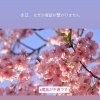 【復旧しました】電話がなぜか不通です
