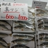舞鶴産真アジがお買い得！刺身・焼き魚・フライにどうぞ