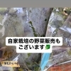今週末の副菜ラインナップと自家栽培野菜のご紹介